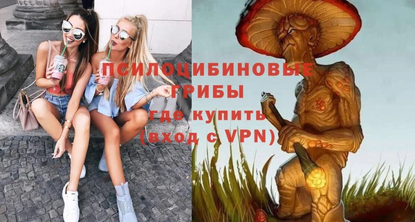 стафф Алексин