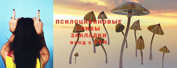 МДПВ Алзамай