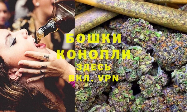 стафф Алексин