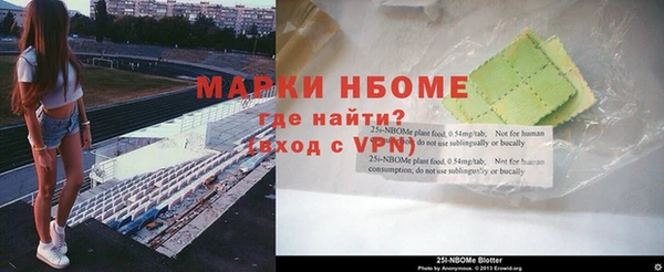 стафф Алексин